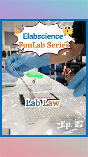 Morning: DNA extraction. Afternoon: reverse transcription. Evening: gel electrophoresis. A fulfilling day in the lab. #laboratory #lablife #lifescience #lab #labtok #scitok #sci #fyp #biology