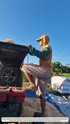 Corn Shelling: How a Machine Transforms Dry Corn into Valuable Kernels