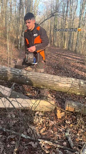 #fyyyyyyyyyyyyyyyy #✅ #fyyyp #viral_video #padure🌲🇷🇴 TikTok