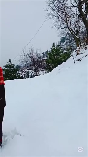 #creatersearchinsights #foryoupage❤️❤️ #viralvideos #everyone #fypdong