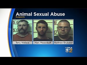 3 Pa. Men Facing More Than 1,400 Counts Of Allegedly Having Sex With Dogs, Horses, Cow & Goat