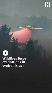 55K views · 1.9K reactions | At least 16 people have been treated for smoke inhalation after wildfires broke out in central Israel, setting homes on fire and cutting off roads. | The National | Facebook