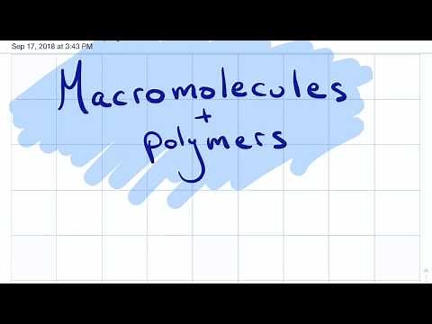 Macromolecules and Polymers