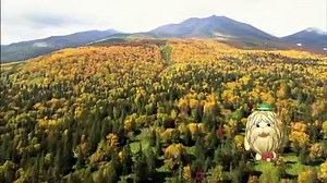 映画『日本列島生きもの超伝説 劇場版ダーウィンが来た！』