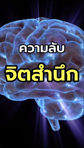 หรือสมองเรา คือควอนตัมคอมพิวเตอร์?