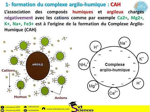Le complexe argilo humique