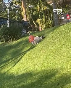 1.2M views · 10K reactions | Why does this look so funny? 藍 | Memezar | Facebook