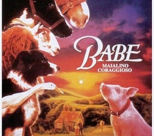 Babe, maialino coraggioso - Film 1995