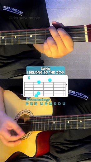 Sana - I Belong To The Zoo | Guitar Chords Tutorial For Beginners