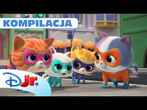 🦫 Na pomoc zwierzakom! | Superkoty | Disney Junior Polska