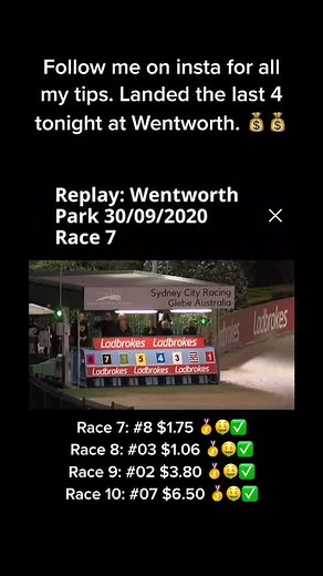 Free Daily Greyhound Racing Tips #fyp #gambling #racing #greyhoundracing #gamblingtiktok