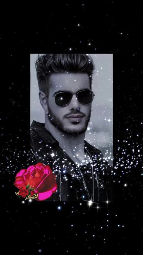 Beautiful Red Roses in Various Settings