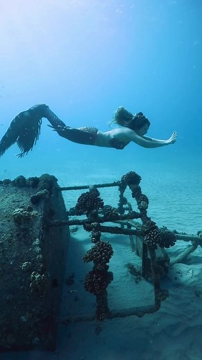 637K views · 25K reactions | The light on the other side  #mermaid tail by @finfolkproductions  I do not own the rights to this music/song. All rights belong to the owner. No Copyright Infringement Intended | Mermaid Sirenity | Facebook