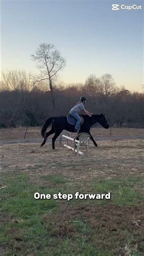 One step forward three steps back