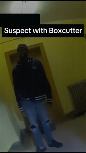 Police Response to Box Cutter Incident