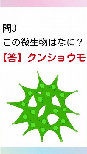 【一問一答】中学理科「絶対覚える微生物・植物プランクトン」 #Shorts