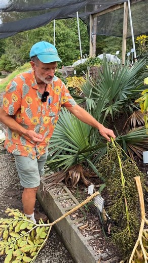 7.4K views · 322 reactions | After decades of being dismissed as a...