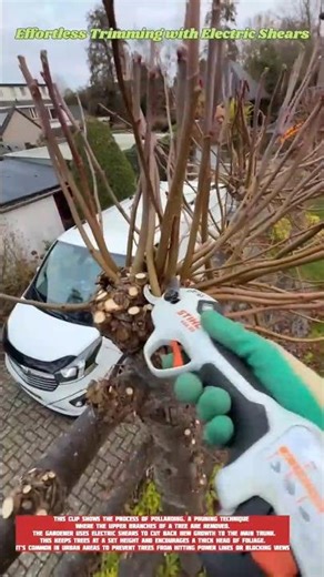 Effortless Trimming with Electric Shears