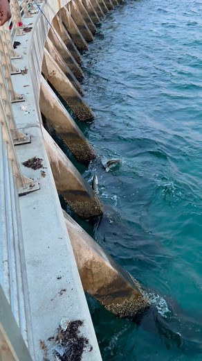 Fishing At The Boynton Inlet #WelcomeToBoyntonBeach #boyntonbeachwelcomesyou #boyntonbeach #boyntoninlet | Welcome To Boynton Beach