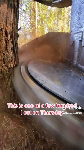 cutterman830 on TikTok