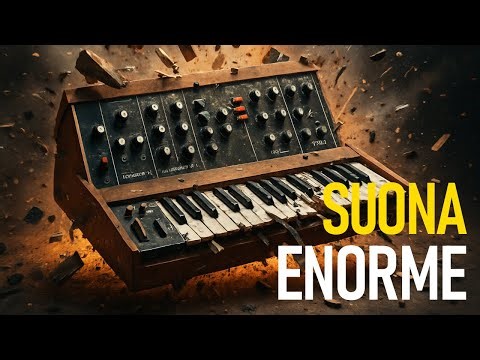 EDM Old School con il Poly D? Più POTENTE di quanto pensassi.