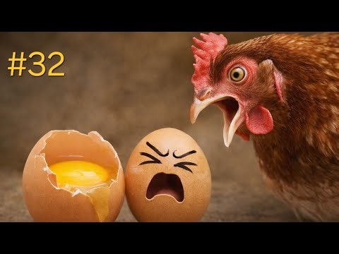 #32. Egg Peeling with Name Writing | Dinor | Calming & Satisfying