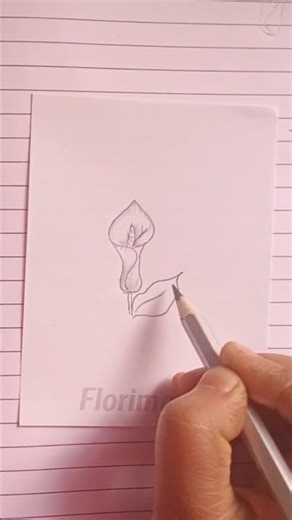 how to draw calla lily in easy way #step by step #shorts#artgallery