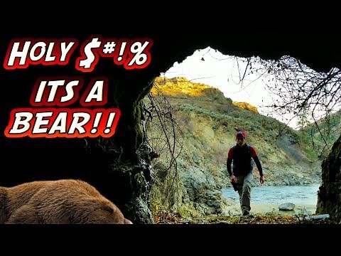 Sleeping Bear Encounter While Hiking & Exploring A Cave