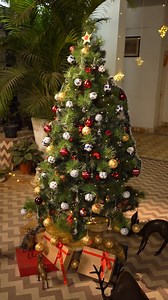 ✨ Step into the magic of Christmas, starting at your front door!...