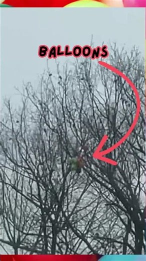It is SO WINDY balloons are stuck in a tree