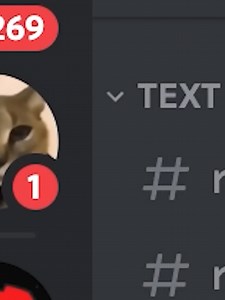 #beluga #hecker #fyp #realhecker