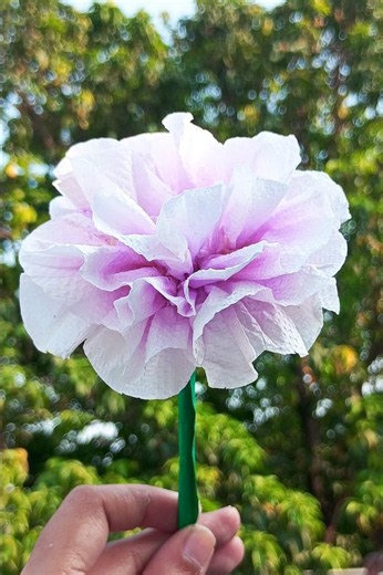 Diy peonies | How to make a peony Flower from paper towels #shortsviral #diy #art #rose #aesthetic