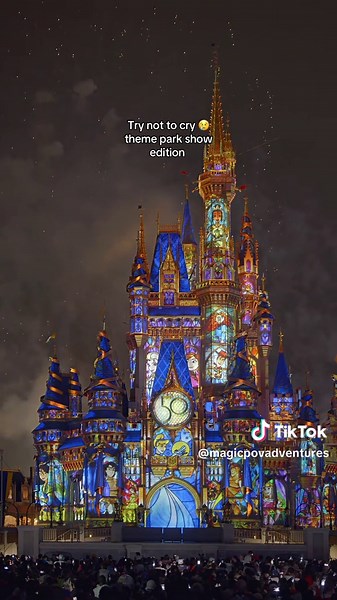 Try Not to Cry: Epic Theme Park Show Experience