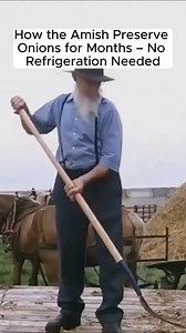 40K views · 22K reactions | The Amish Secret to Preserving Onions Fresh for Months – No Refrigeration Needed! | Braiding Method #AmishTradition #chicken #Preservation #NoRefrigeration #Homesteading #SelfSufficiency #FoodStorage #SustainableLiving #OffGridLife #FrugalLiving #ViralReel #TrendingNow | Frugal Eats Kitchen | Facebook