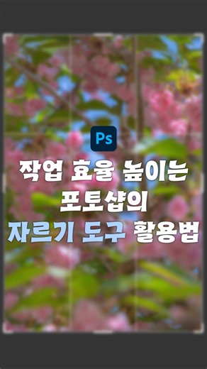 포토샵 자르기 도구 100% 활용하기! #포토샵강의 #포토샵기초