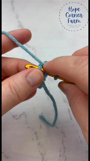 Learn the Paired Double Crochet Stitch (PDC) step by step! This beginner friendly crochet stitch creates a beautiful, textured fabric that’s perfect for blankets, throws, scarves, and more. Save this crochet tutorial for your next crochet project and start stitching today! #crochettutorial #crocheter #crochetinspiration #crochet #crocheting #crochetstitch #easycrochet | Hope Corner Farm