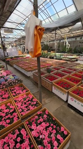 Korean Song No Copyright chill, #koreanplaylist #nocopyrightmusic #freemusic #cafemusic #lagukorea