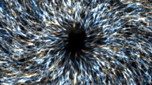 Porcupine, Rodent, Hedgehog