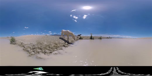 8.3K views · 99 reactions | Take a trip to wild horse country and...