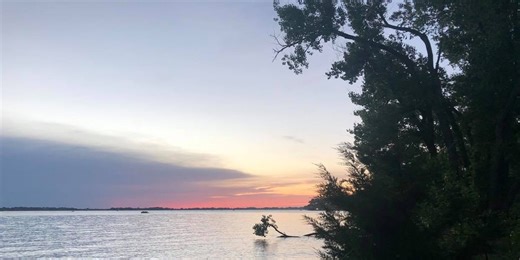 E. coli bacteria detected in Cottonmill and Johnson Lake