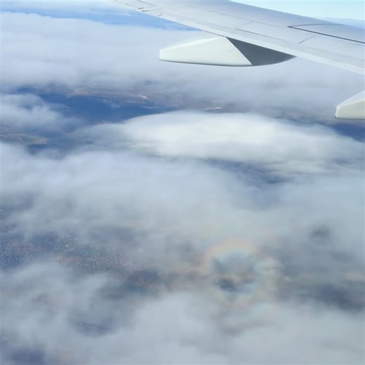 Chikako Sugiura on Reels