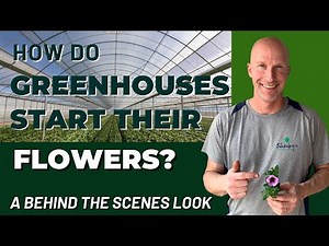 How Greenhouses Start Their Flowers - Go Behind The Scenes of a Commercial Greenhouse