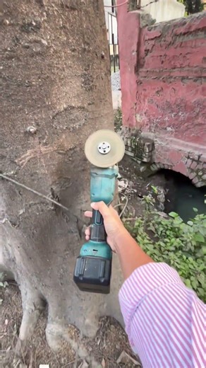 Remove wire save Tree 🌳 #naturelovers #saveenvironment #savetrees