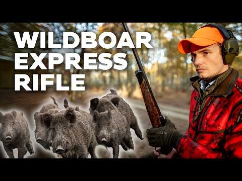 Wildboar vs. Express Rifle: Ethical Hunting in Action