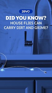 Zevo catches bugs 24/7, the perfect way to keep your home feeling clean. Get yours at Walmart | Walmart