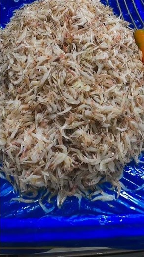 천안에서 회 제일 싼 곳? 농수산물도매시장 연말 시세 점검