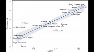 Basic Facts About Race In 13 Minutes