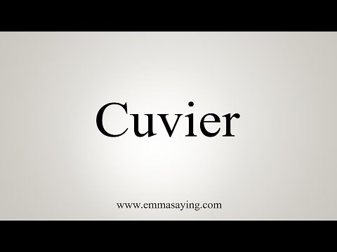 How To Say Cuvier