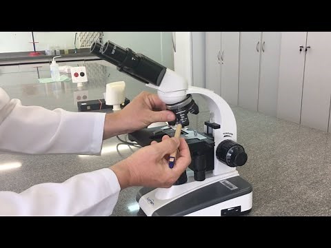 Microscópio ótico - Estrutura e funcionamento