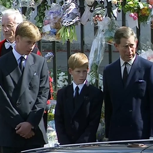 205K views · 6.7K reactions | Diana's Final Farewell: A Funeral for the People's Princess | Royal Artis | Facebook